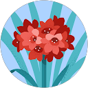 Elodie M profile picture